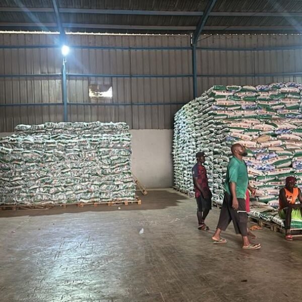Imported Rice – Warehouse Stock