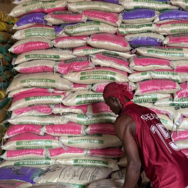 Bulmex Rice Bags